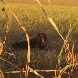 Meet your Posher, Steven